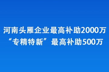 河南頭雁企業(yè)最高補助2000萬、“專精特新”最高補助500萬 
