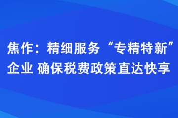 焦作：精細(xì)服務(wù)“專精特新”企業(yè) 確保稅費政策直達(dá)快享