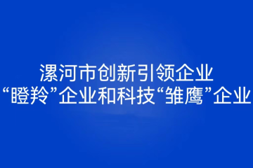2022年漯河市創(chuàng)新引領(lǐng)型企業(yè)政策