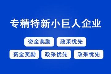專精特新企業(yè)的認(rèn)定標(biāo)準(zhǔn)是什么？