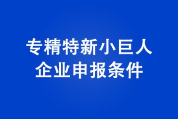 河南專精特新小巨人企業(yè)申報基本條件有哪些