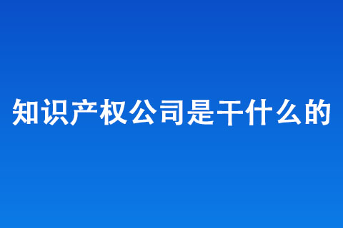 知識產(chǎn)權(quán)公司是干什么的