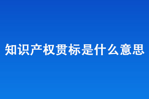 知識產(chǎn)權(quán)貫標(biāo)有什么用