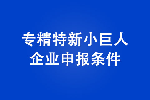 河南專精特新小巨人企業(yè)