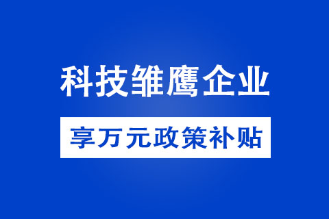 鄭州市科技雛鷹企業(yè)認(rèn)定方式