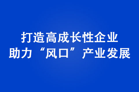 打造高成長性企業(yè) 助力“風(fēng)口”產(chǎn)業(yè)發(fā)展
