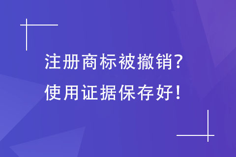 商標使用證據(jù)