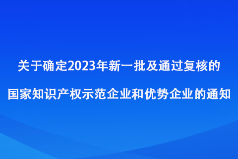 2023年新一批及通過(guò)復(fù)核的國(guó)家知識(shí)產(chǎn)權(quán)示范企業(yè)和優(yōu)勢(shì)企業(yè)名單